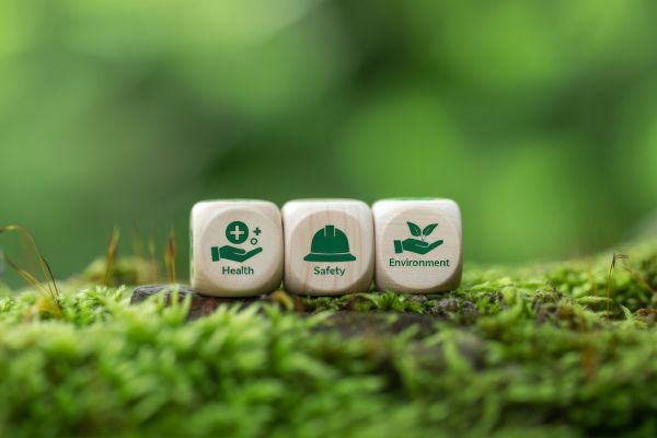 Politica Qualità, Salute, Sicurezza, Tutela dell’Ambiente ed Etica