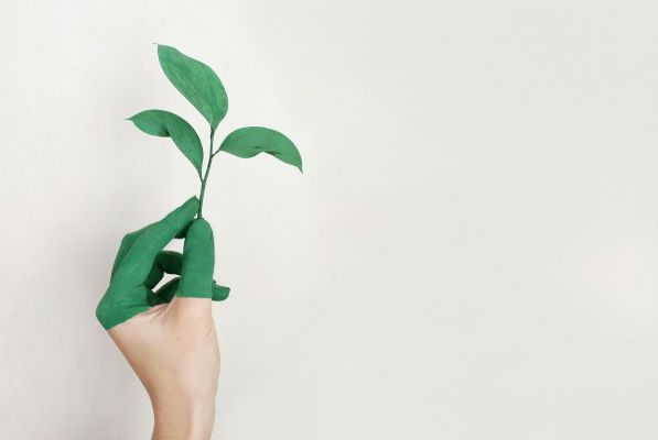 Convegno Sostenibilità 28 maggio 2025 ore 14.30